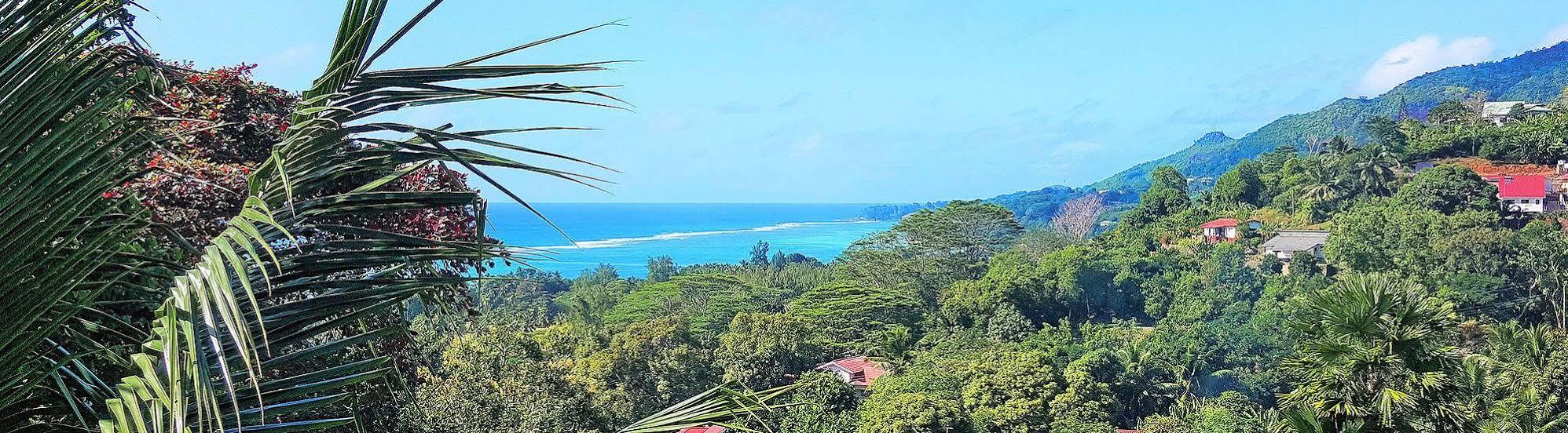 Lime Hill Lodge Anse aux Pins Εξωτερικό φωτογραφία